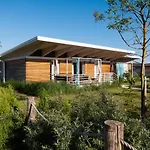 Lino Delle Fate Eco Бібіоне