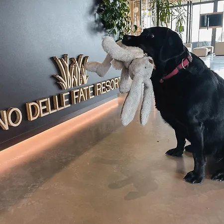 Lino Delle Fate Eco Hotel