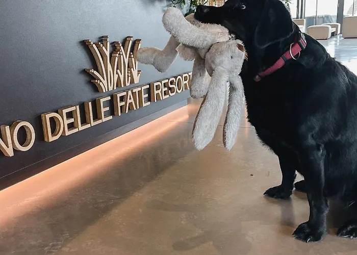 Lino Delle Fate Eco Hotel